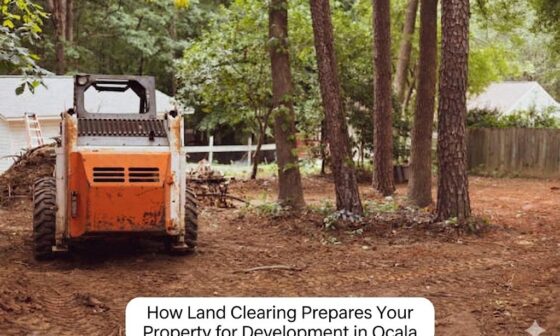 How Land Clearing Prepares Your Property for Development in Ocala