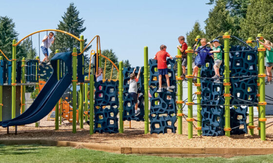 How School Playground Equipment Supports Active and Engaging Play
