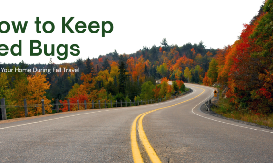 How to Keep Bed Bugs Out of Your Home During Fall Travel