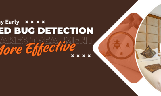 Why Early Bed Bug Detection Makes Treatment More Effective