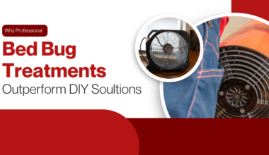 Why Professional Bed Bug Treatments Outperform DIY Solutions