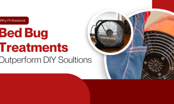 Why Professional Bed Bug Treatments Outperform DIY Solutions