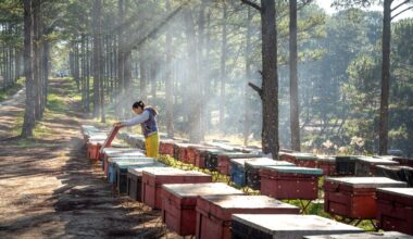 Common Supplies Farmers Need For Raising Bees 1
