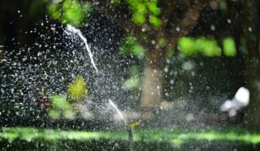 Planning a Backyard Renovation Without Overlooking Essential Infrastructure