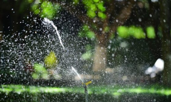 Planning a Backyard Renovation Without Overlooking Essential Infrastructure