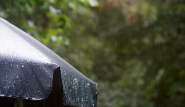 Preparing Outdoor Structures for Severe Weather