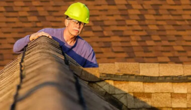 What Homeowners Should Know About Common Roofing Problems in the US