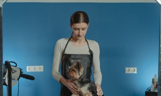 What To Know About Starting A Pet Grooming Business 1